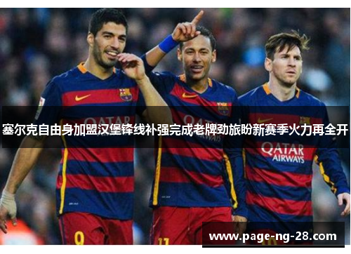 塞尔克自由身加盟汉堡锋线补强完成老牌劲旅盼新赛季火力再全开